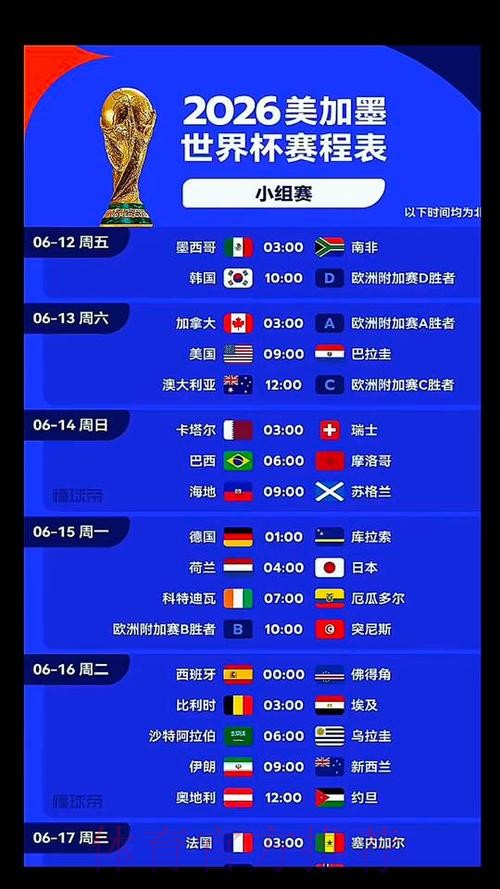 2026世界杯巴西C罗比赛时间全解析